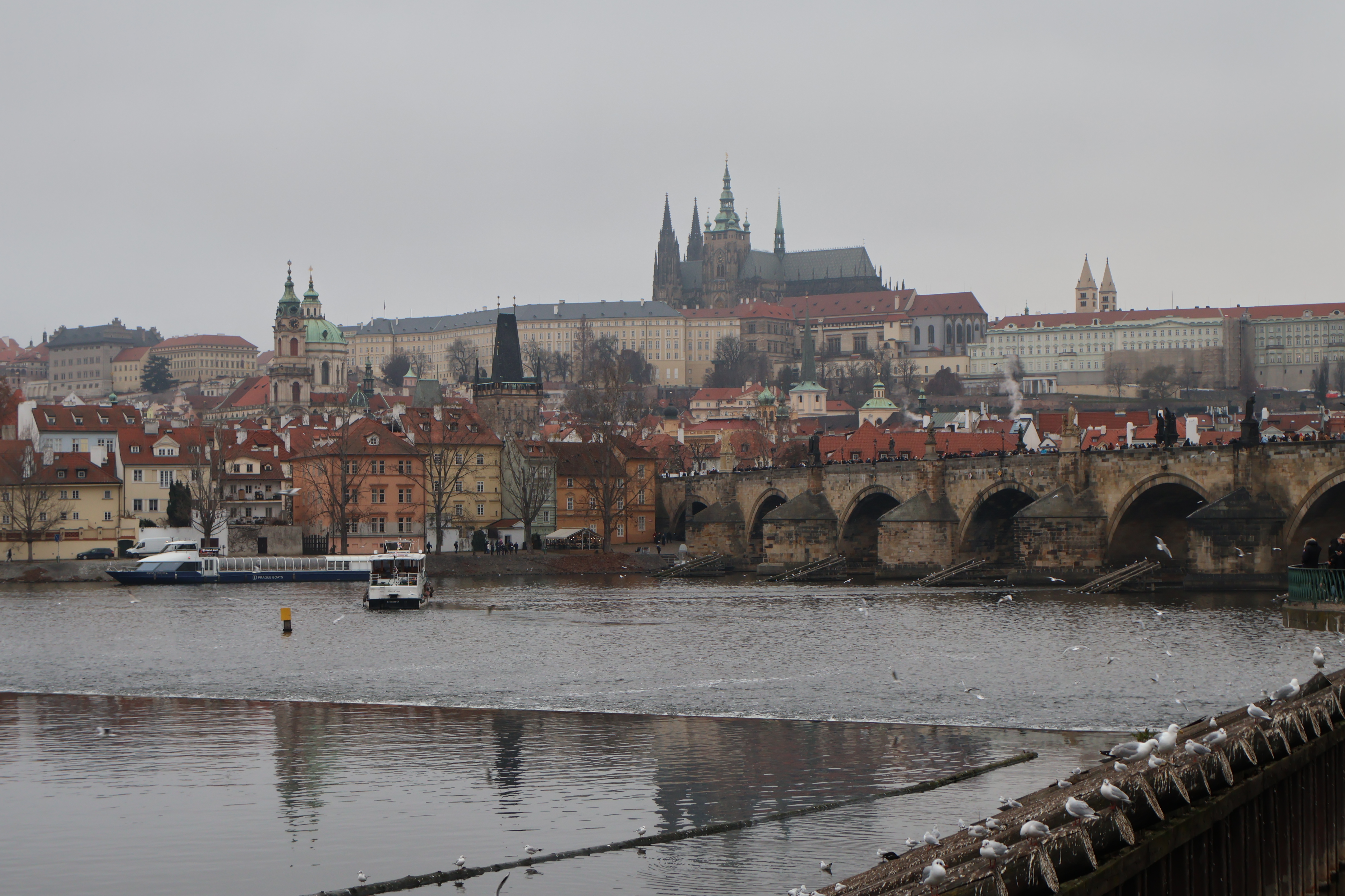 A better view of the castle
