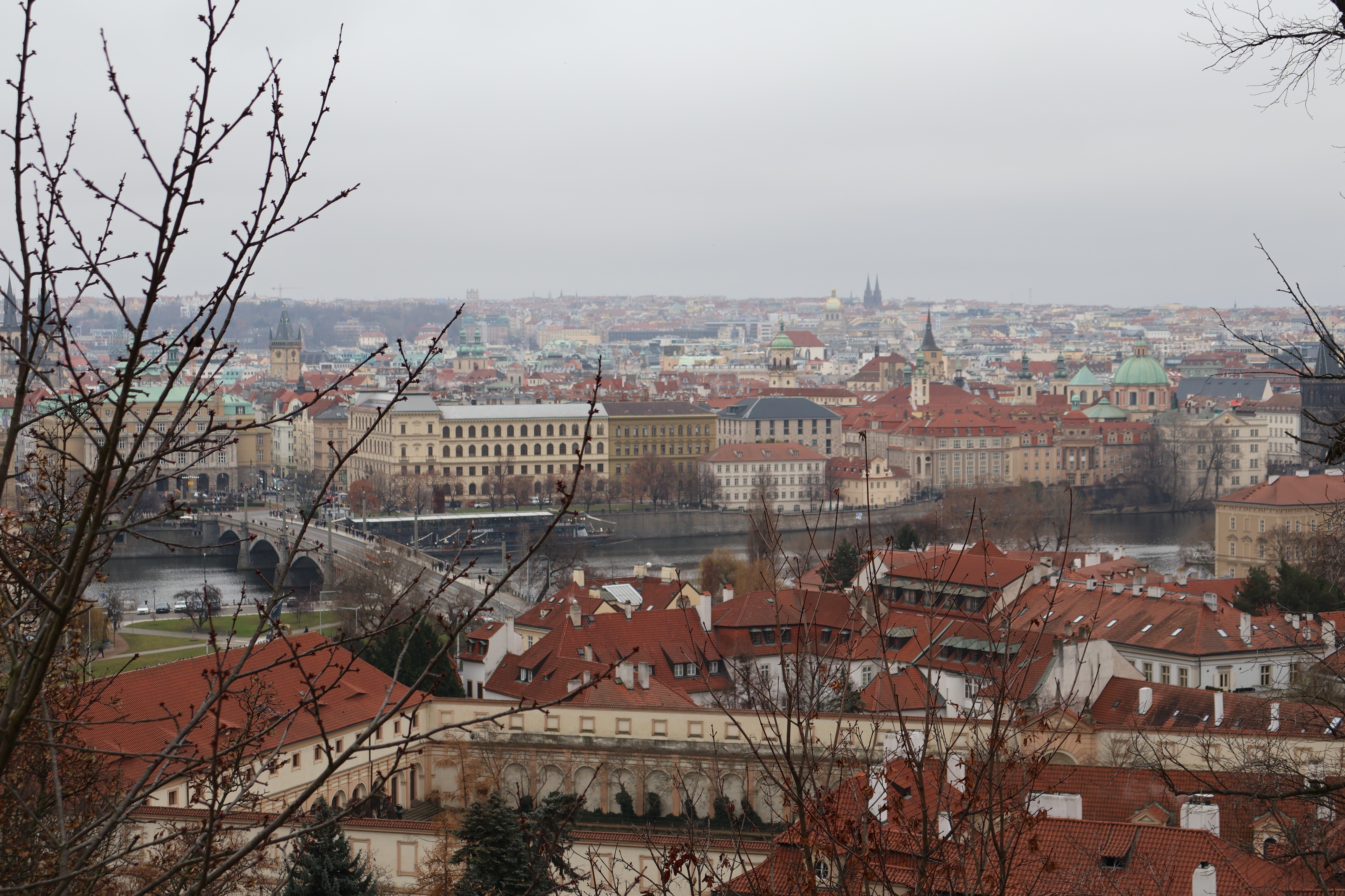 View of the town from the castle with tree branches in the foreground.